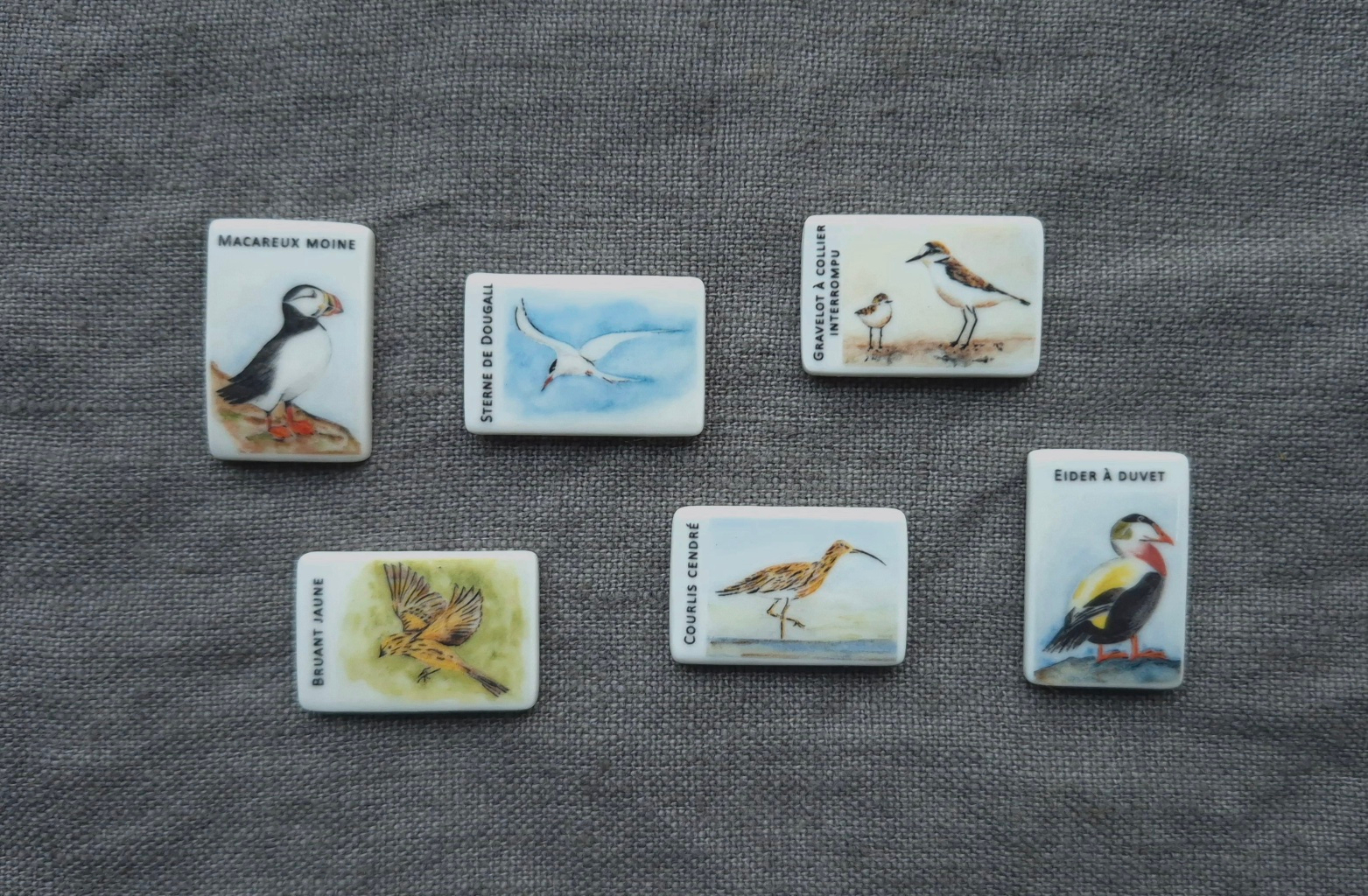 20241201 170748 resized