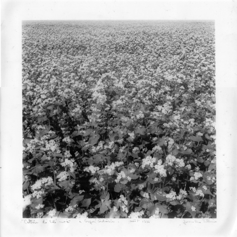 Boulanger bio Quimper Barabio