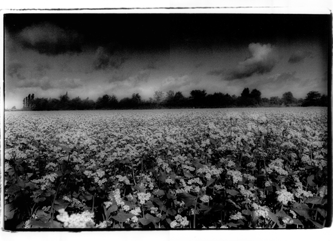 Boulanger bio Quimper Barabio