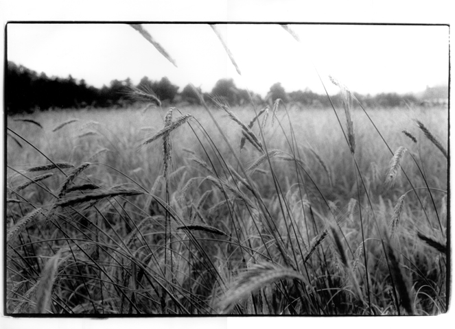 Boulanger bio Quimper Barabio