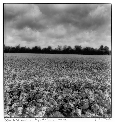 Boulanger bio Quimper Barabio